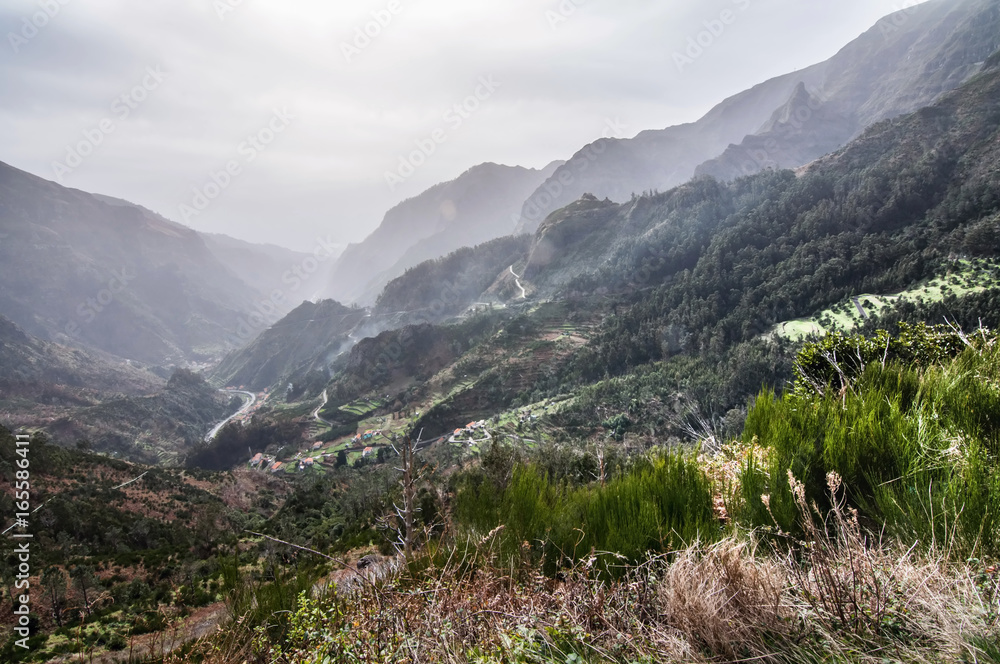 Viewpoint into a jungle in Madeira, Portugal