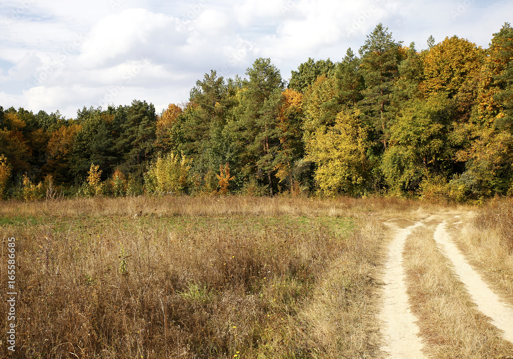 Different views of autumn scenery Different views of autumn scenery