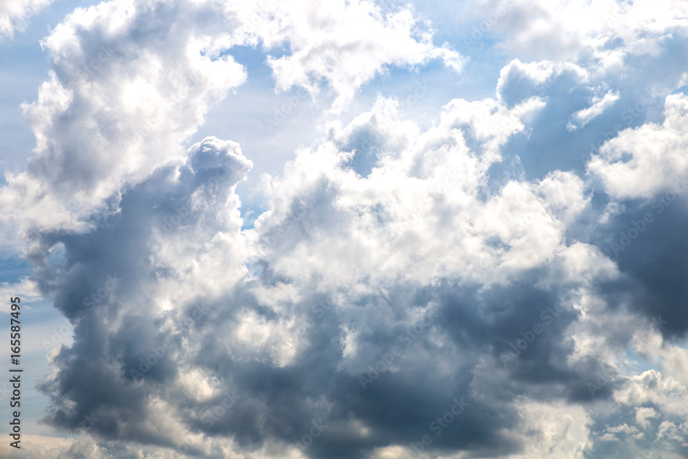 Fototapeta premium the clouds in the sky