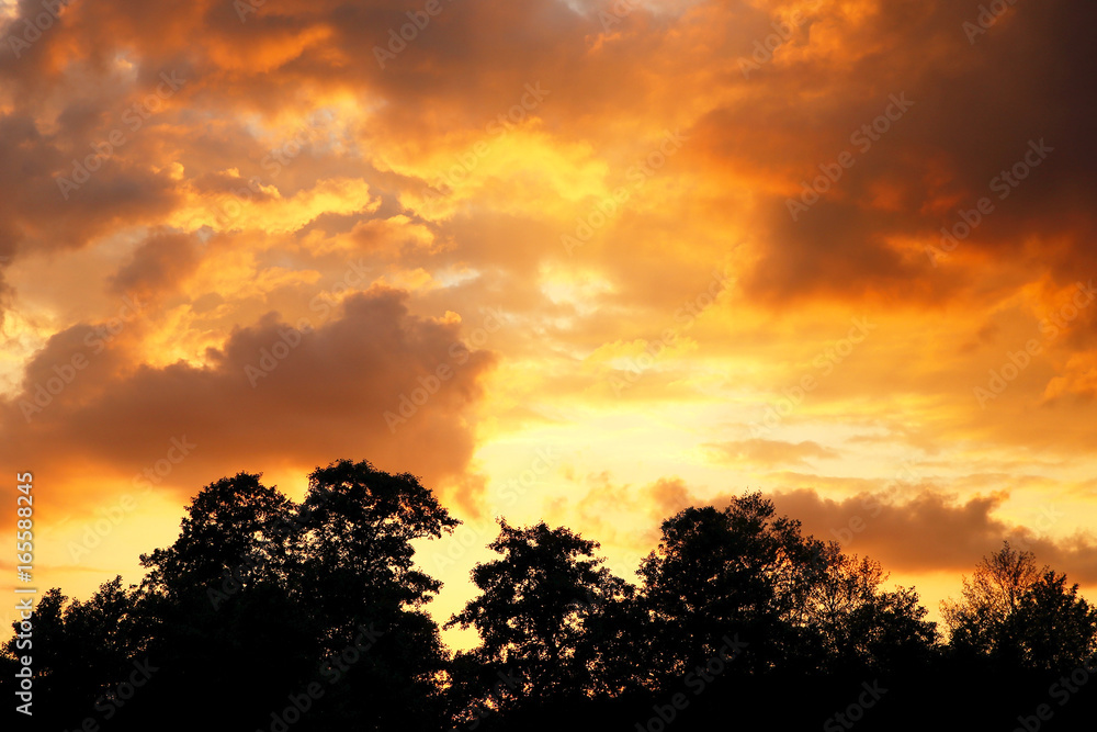 colorful purple sunset