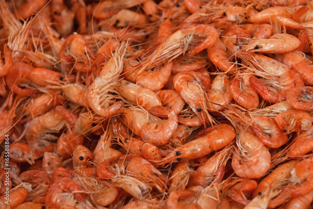 Fresh boiled pink small shrimps close up Fresh boiled pink small shrimps close up
