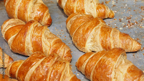 Freshly baked golden croissants close up