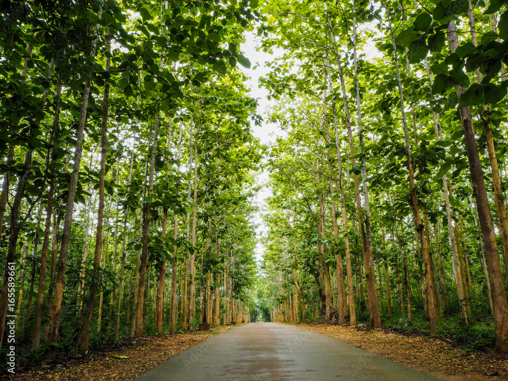 Obraz premium OLYMPUS DIGITAL CAMERA