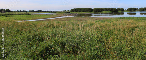 landscape Groene Jonker, Nieuwkoopse Plassen photo