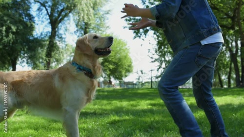 Little boy playing with his bid purebred dog