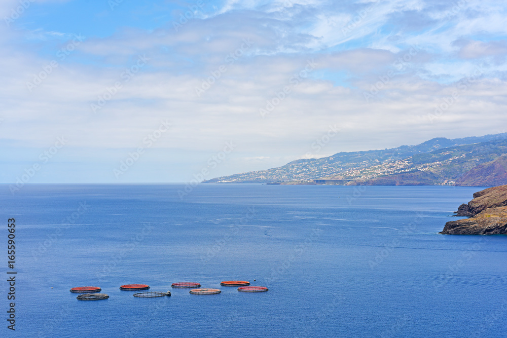 Obraz premium Fish farming in Atlantic Ocean.