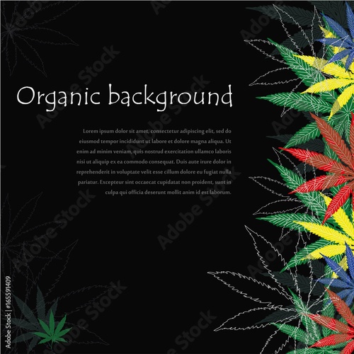 Weed Leaf Frame, Marijuana Foliage Border. Cannabis Plant Background. Vector