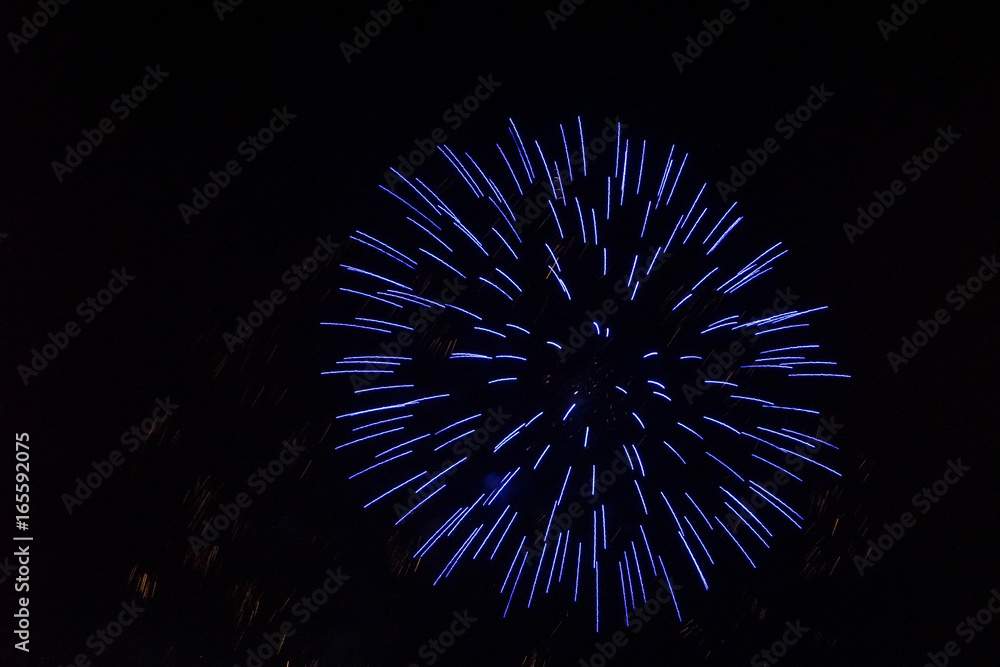 Obraz premium Fireworks 4th of July Austin, TX