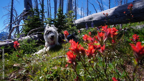 Exploring Washington State, the Great Pacific Northwest