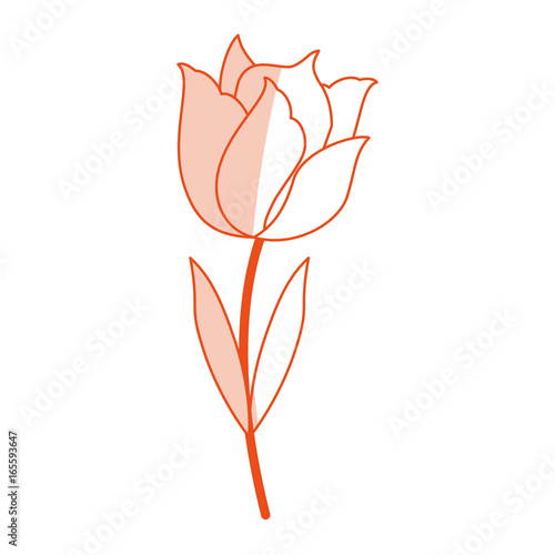 delicate flower icon image