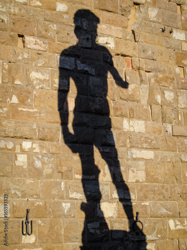 Ombra del David a Firenze