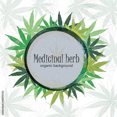 Marijuana Leafs, Cannabis Plant Background, Hand Drawn Style. Vector