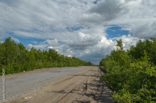 Dirt road goes far surrounded by green bushes.