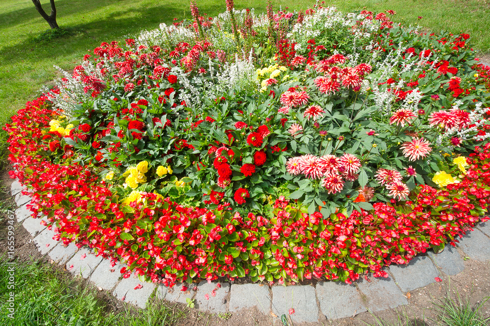 Rundes Blumenbeet StockFoto Adobe Stock