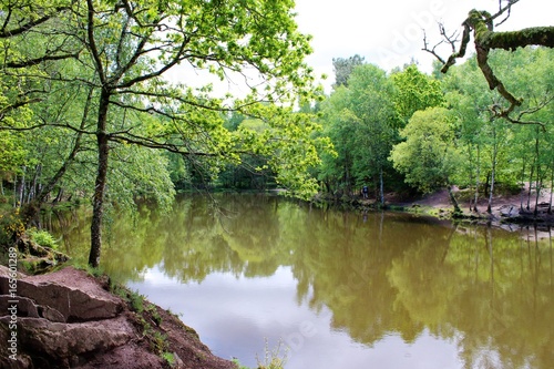 Brocéliande