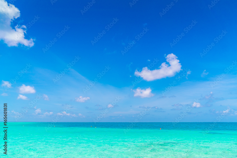 Fototapeta premium Beautiful tropical Maldives island with white sandy beach and sea .