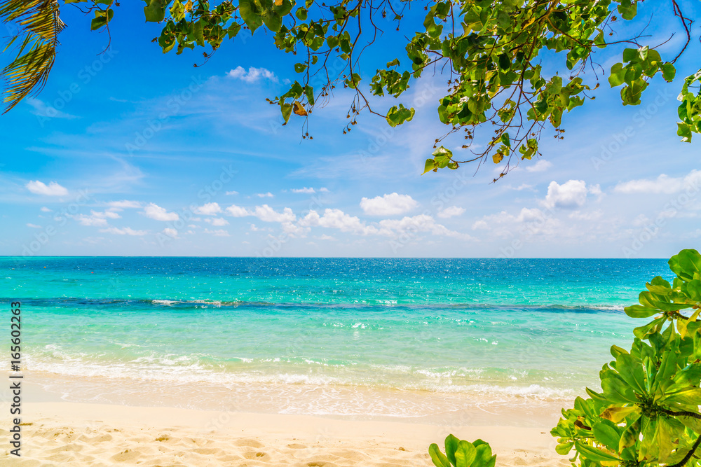 Beautiful tropical Maldives island with white sandy beach and sea . Beautiful tropical Maldives island with white sandy beach and sea .