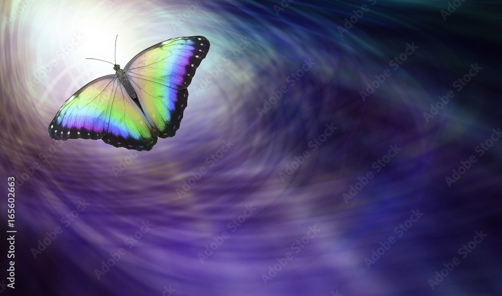Symbolic Spiritual Release -  Beautiful multicoloured butterfly moving into the light depicting a departing soul 
 - obrazy, fototapety, plakaty 