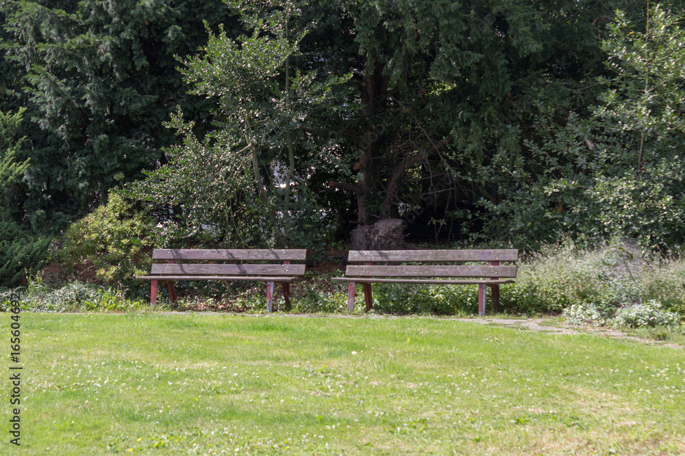Wooden benches with a hedge in the background and lawn in the foreground Wooden benches with a hedge in the background and lawn in the foreground
