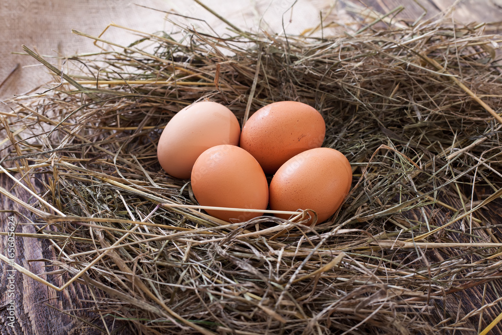 Chicken eggs in the chicken coop Chicken eggs in the chicken coop