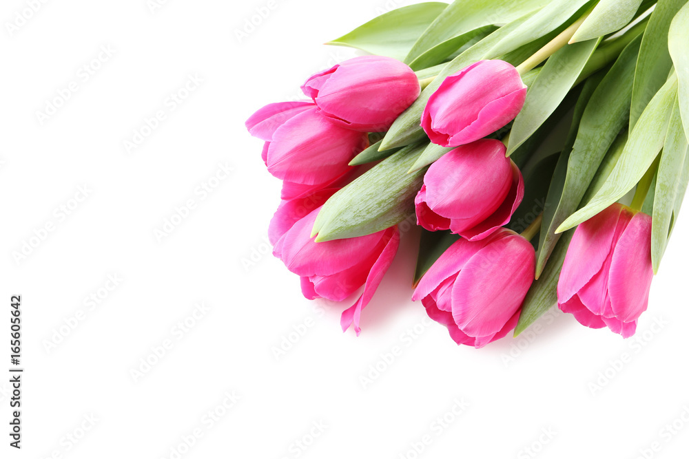 Bouquet of pink tulips isolated on a white