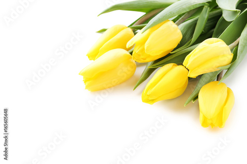 Fototapeta Naklejka Na Ścianę i Meble -  Bouquet of yellow tulips isolated on a white