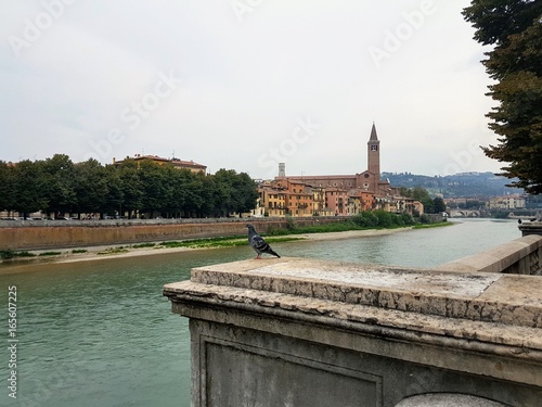 verona photo