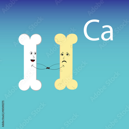 Healthy bone and bone without calcium