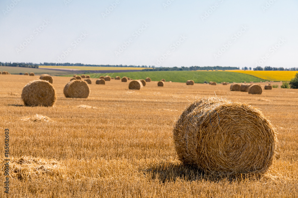 a stack of hay. Haystacks.Farming