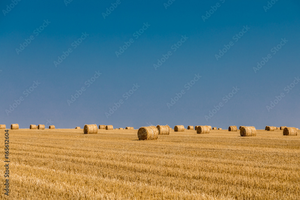 Fototapeta premium a stack of hay. Haystacks.Farming