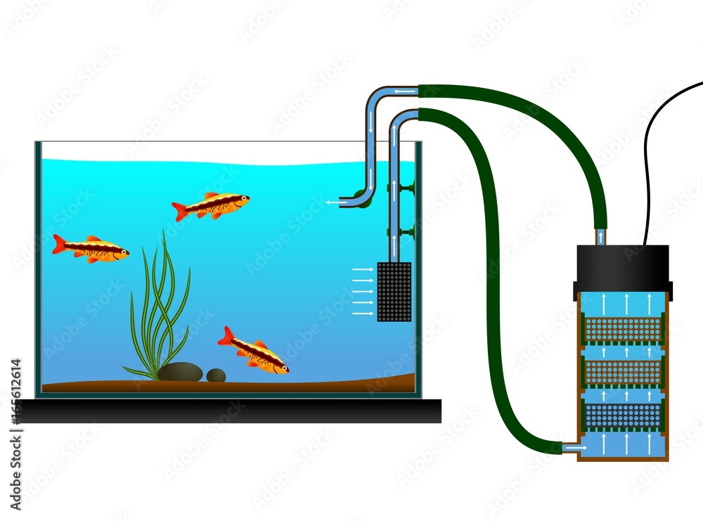 Aquarium equipment. External Aquarium Fish Tank Canister Filter. Vector  illustration. The scheme of the external aquarium bio filter. Stock Vector