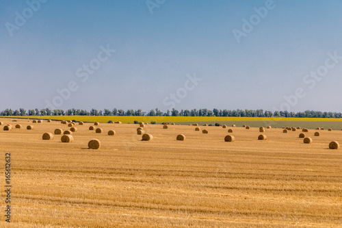 a stack of hay. Haystacks.Farming