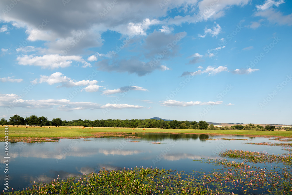 Obraz premium Landscape with lake and pasture in Manzanares del Real, Madrid. Spain
