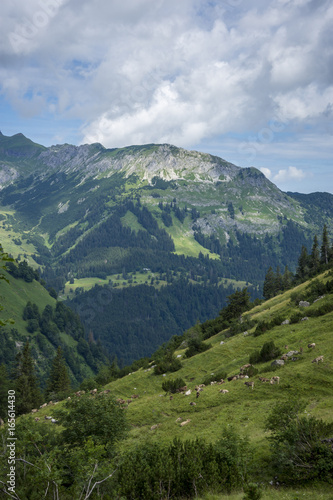 Fototapeta Naklejka Na Ścianę i Meble -  Alpen, Allgäu, Natur, Wandern, Hochvogel, Nebelhorn, Klettersteig, klettern, bergsteigen