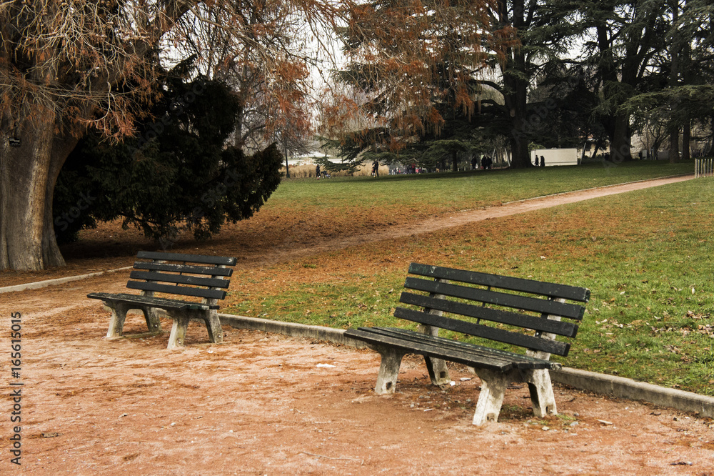 Paysage automnal dans parc de la Tête d'Or avec bancs à Lyon