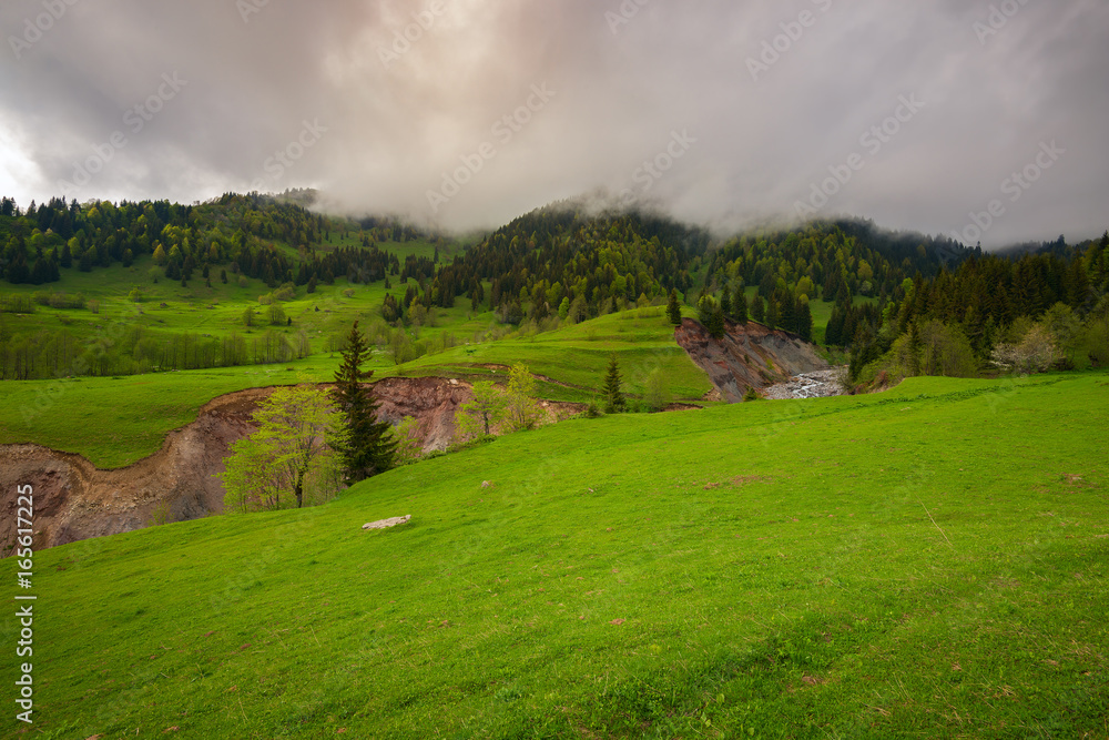 Low gray clouds float above the green alpine meadow