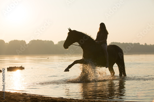 Pferd spielt im See