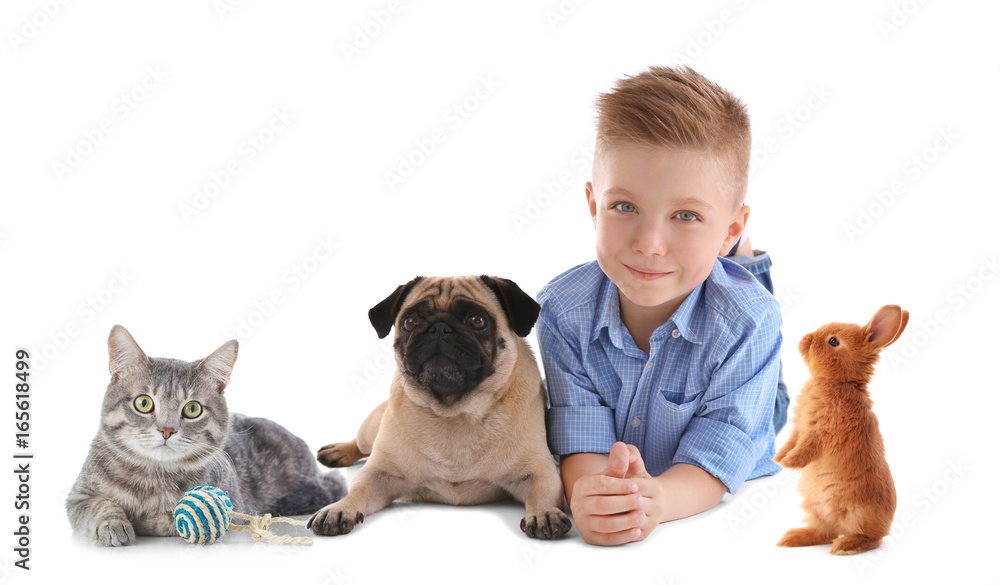 Cute boy with pug dog, isolated on white Cute boy with pug dog, isolated on white