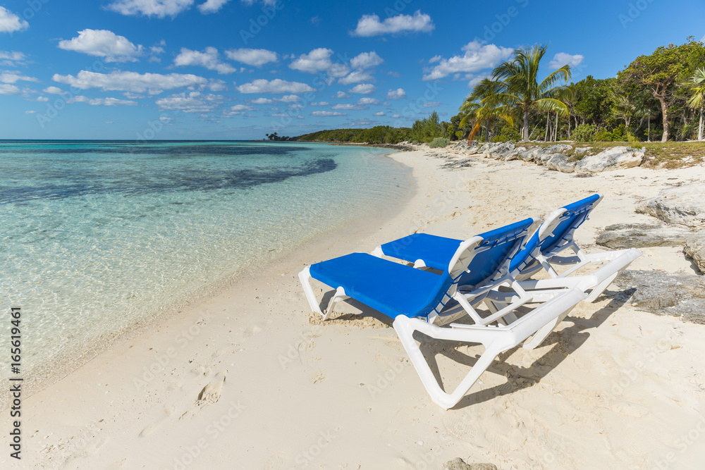 Beach vacation background scenic landscape at the sea with palm trees and blue teal water Beach vacation background scenic landscape at the sea with palm trees and blue teal water