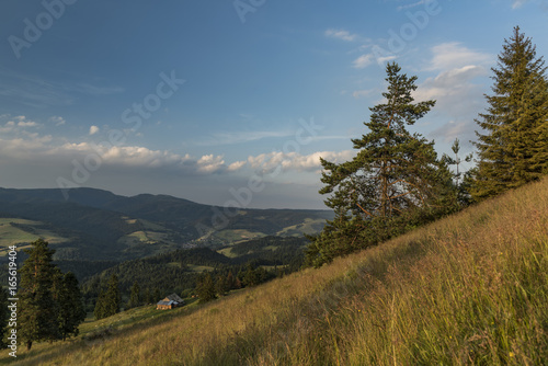 Evening near Slachovky hill over sheep chalet photo