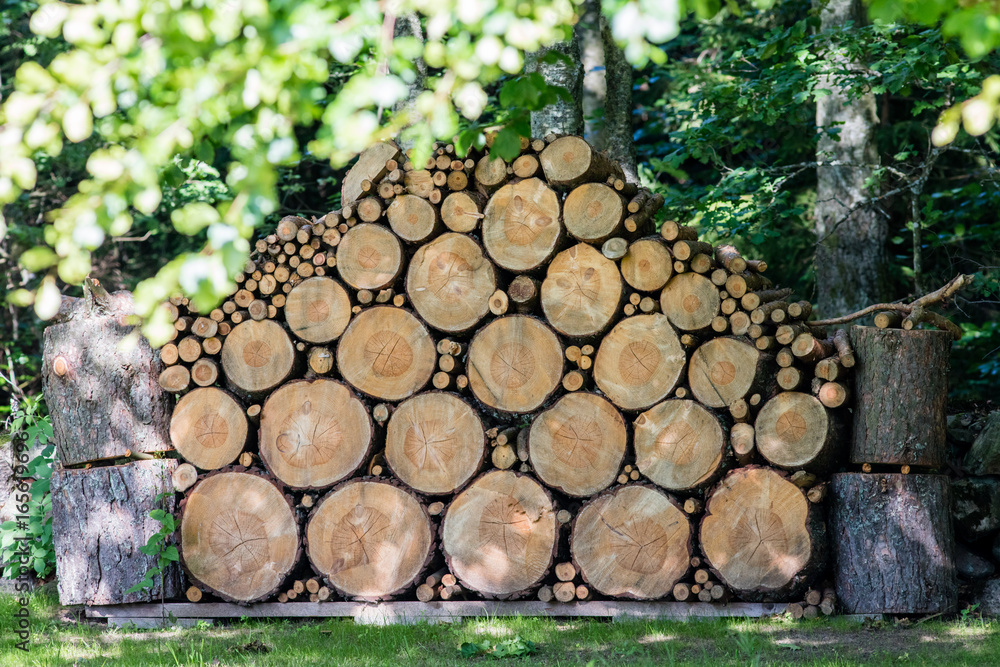 Cut wood stacked neatly in forest setting
