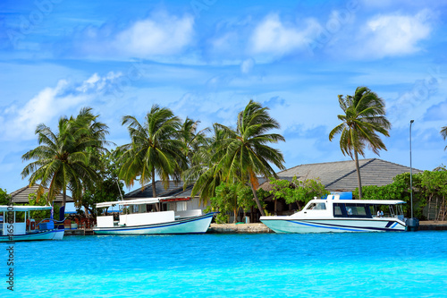 Berth with modern boats at tropical resort © Africa Studio