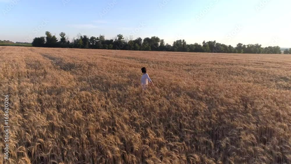 custom made wallpaper toronto digitalAerial photography Girl running cross the wheat field at sunset. Slow motion, high speed camera