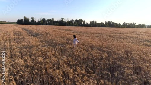 Wallpaper Mural Aerial photography Girl running cross the wheat field at sunset. Slow motion, high speed camera Torontodigital.ca