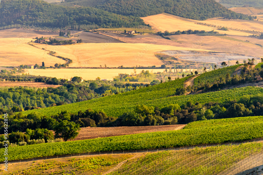 Landscape in Tuscany in summer