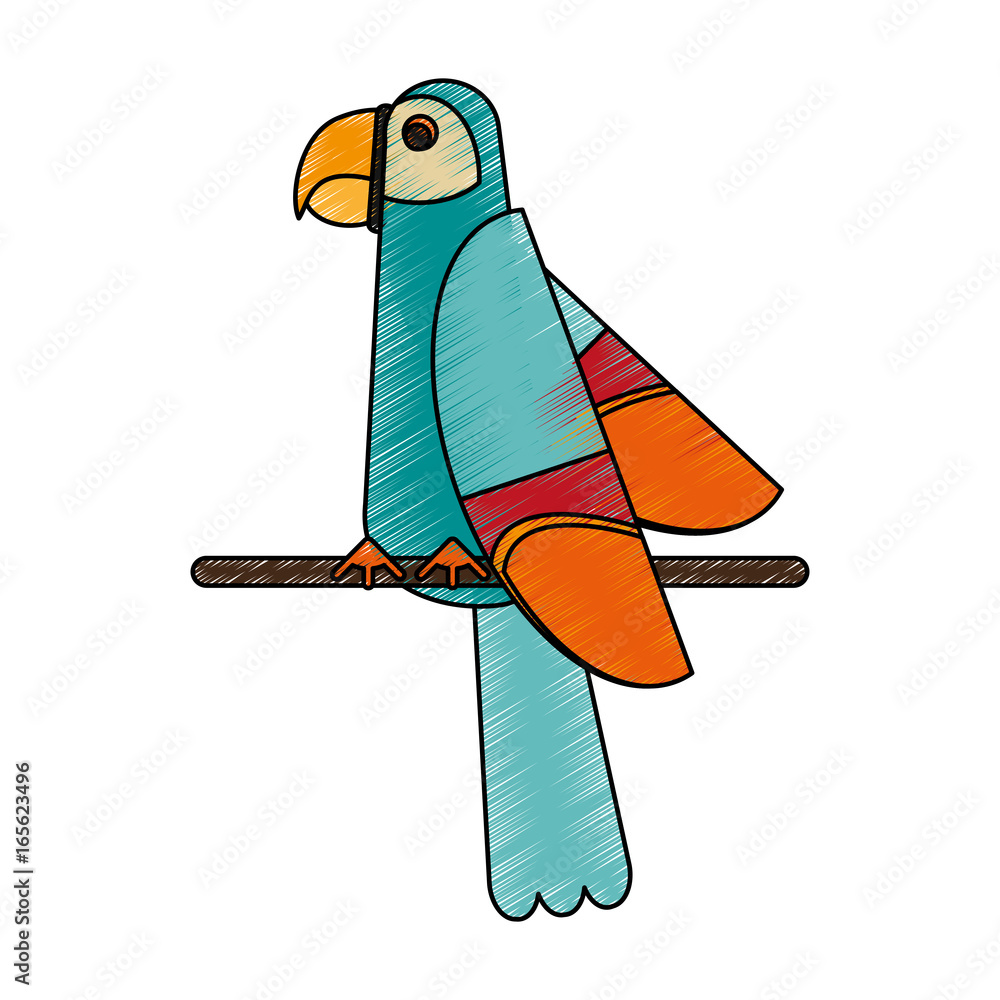 Obraz premium Exotic natural bird