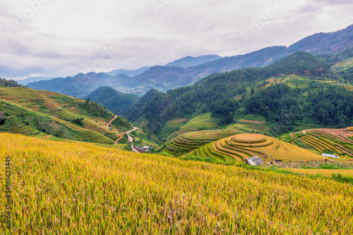 Rice terrace of Mu Cang Chai, Yenbai, Northern Vietnam