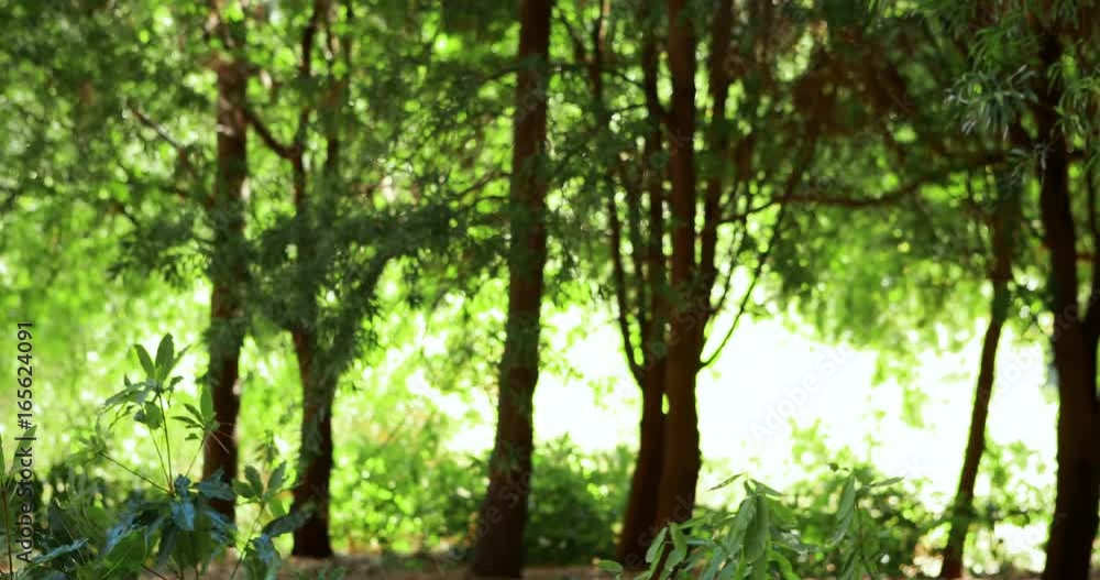 Couple interacting while using digital table in park Couple interacting while using digital table in park