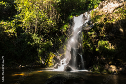 Fototapeta Naklejka Na Ścianę i Meble -  Beautiful waterfall in Cabreia Portugal