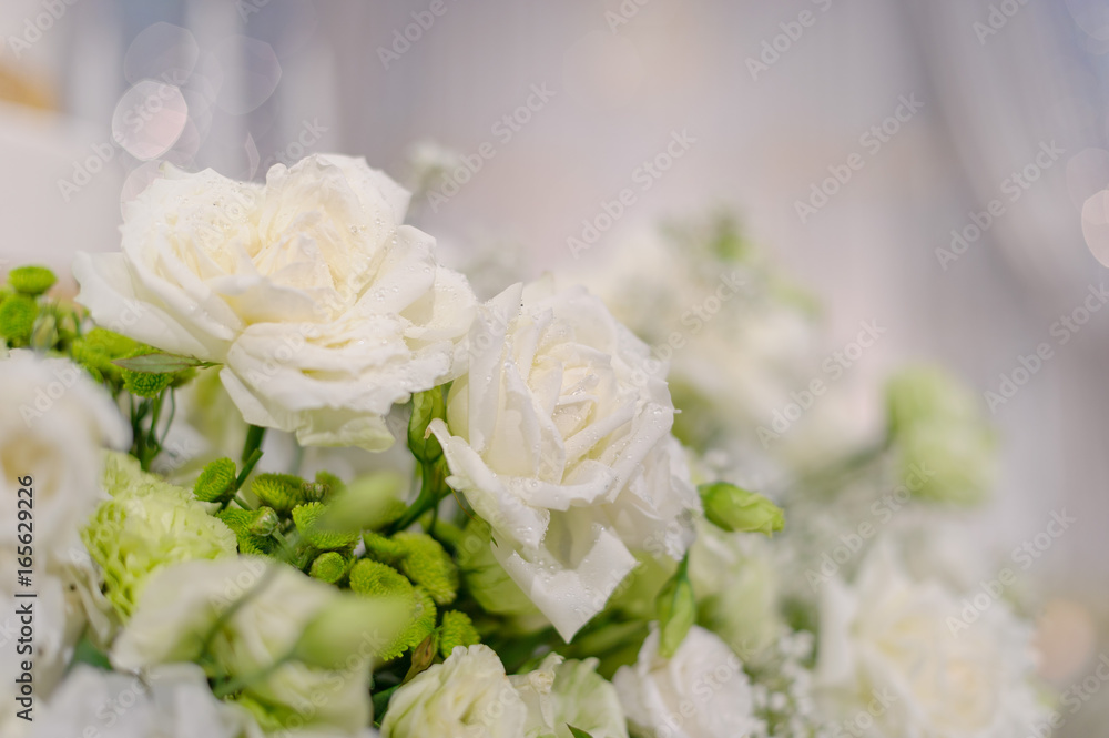closeup droplet on white rose flower / wedding flower decoration closeup droplet on white rose flower / wedding flower decoration